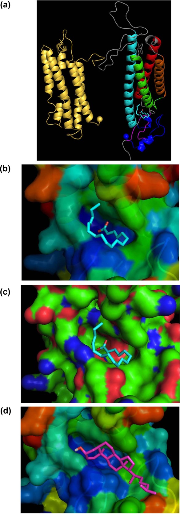 Figure 7