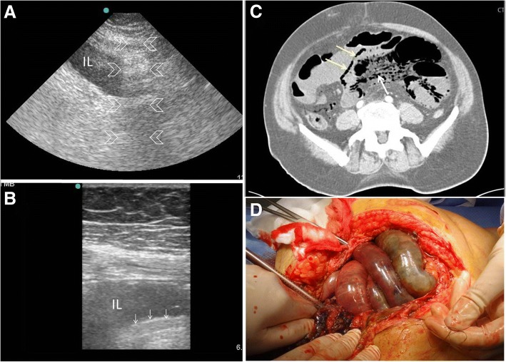 Fig. 8