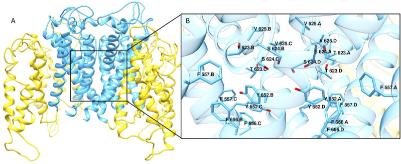 FIGURE 1