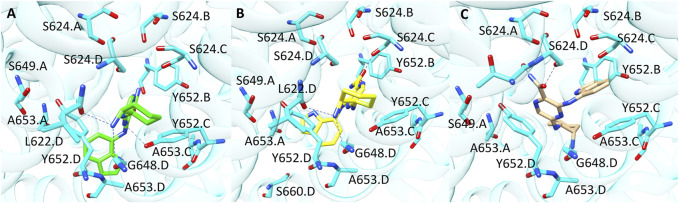 FIGURE 7