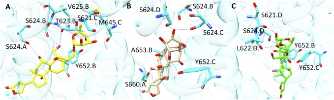 FIGURE 5