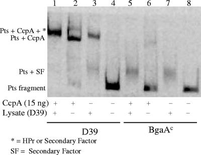 FIG. 5.