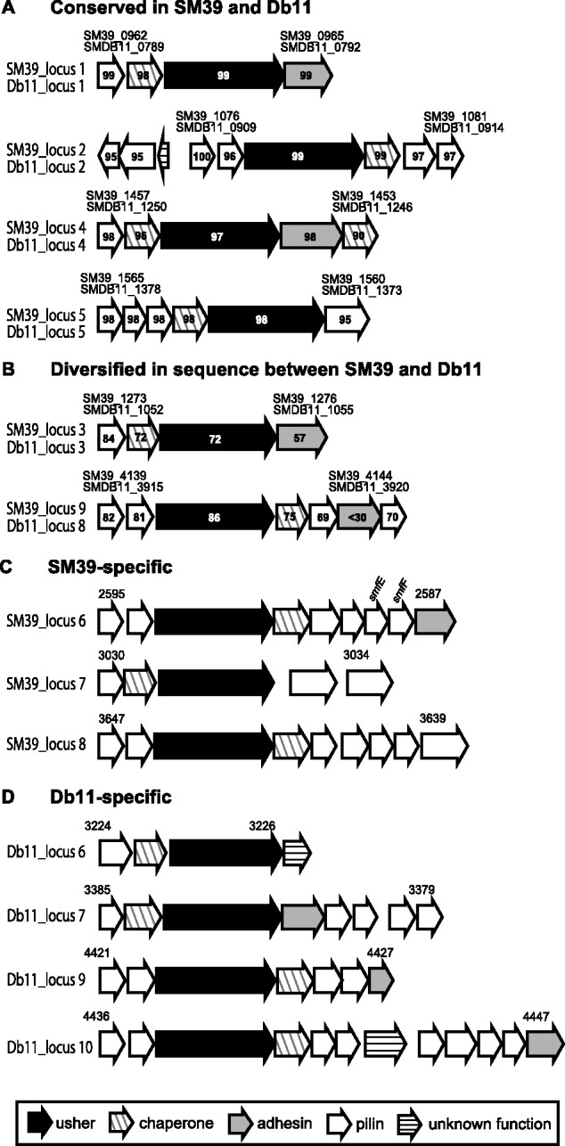 Fig. 3.—