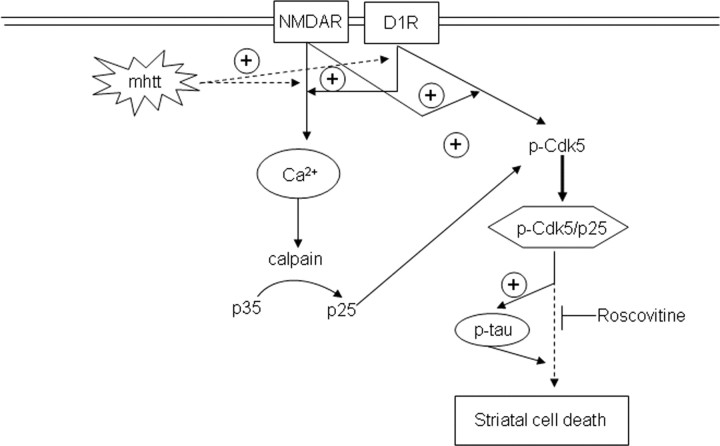 Figure 9.