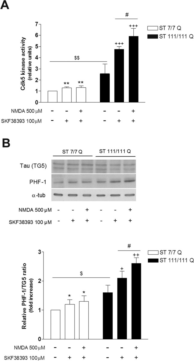 Figure 6.