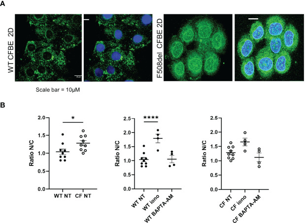 Figure 10