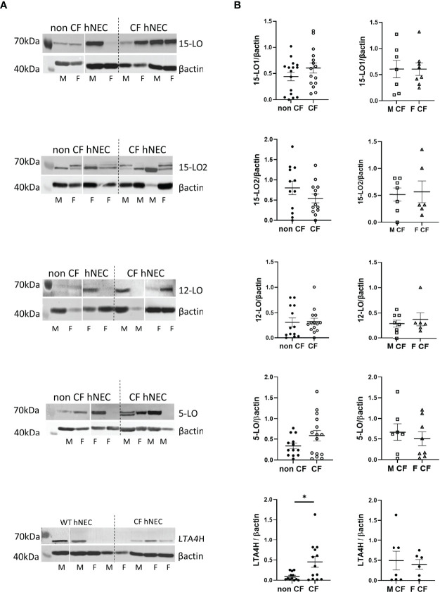 Figure 6