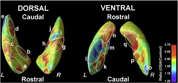 Fig. 2