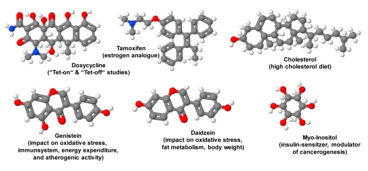 Figure 11