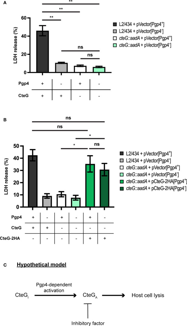 Figure 5