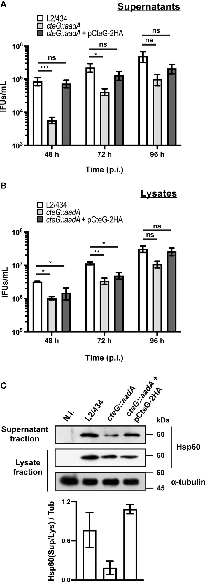 Figure 2