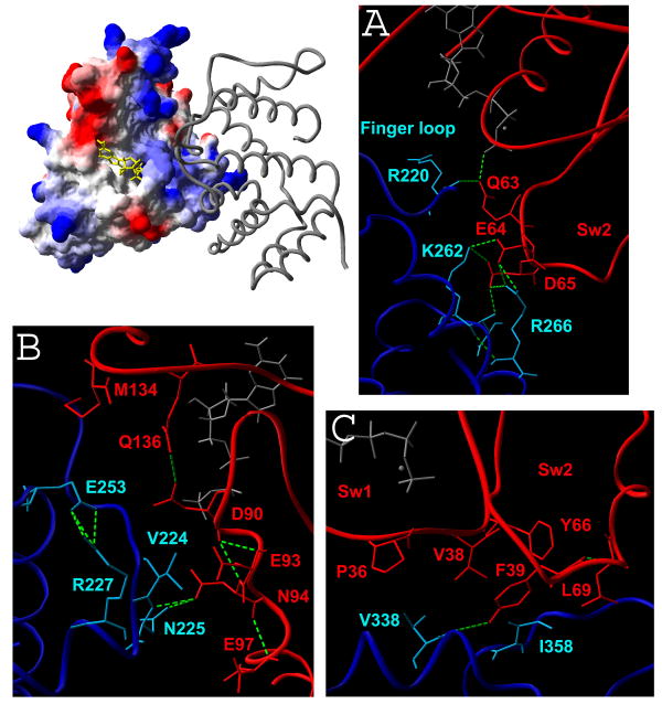 Figure 6