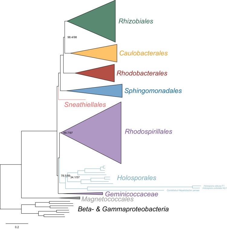 Figure 3—figure supplement 7.