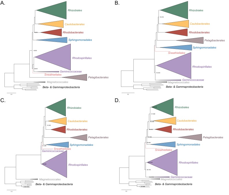 Figure 3—figure supplement 4.