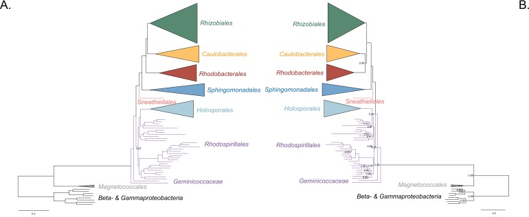 Figure 3—figure supplement 6.