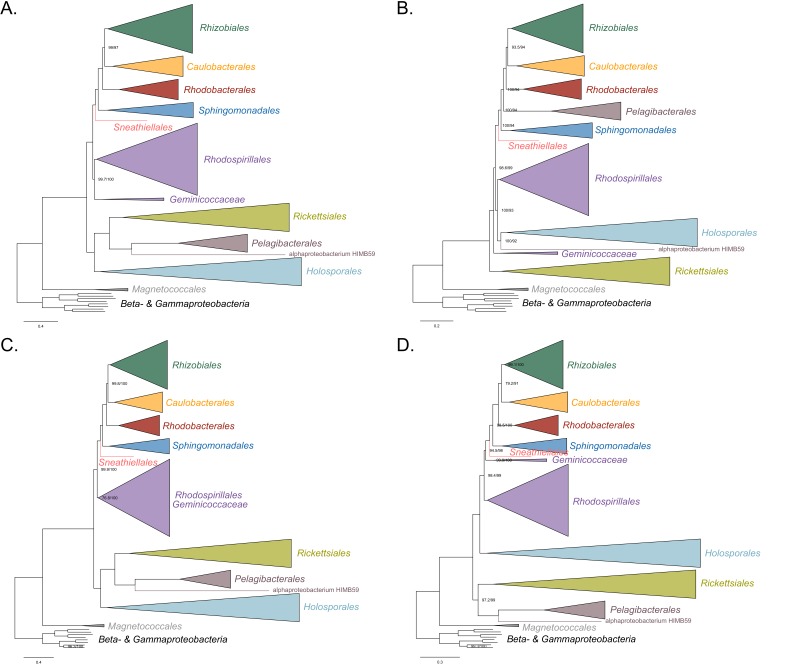 Figure 2—figure supplement 4.