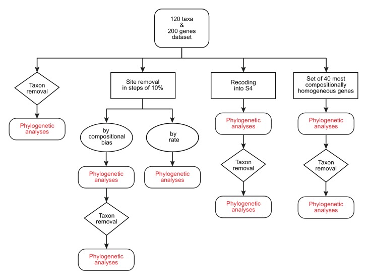 Figure 2—figure supplement 2.