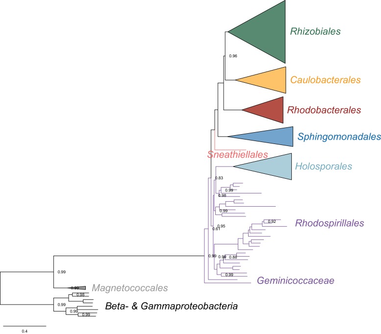 Figure 3—figure supplement 8.