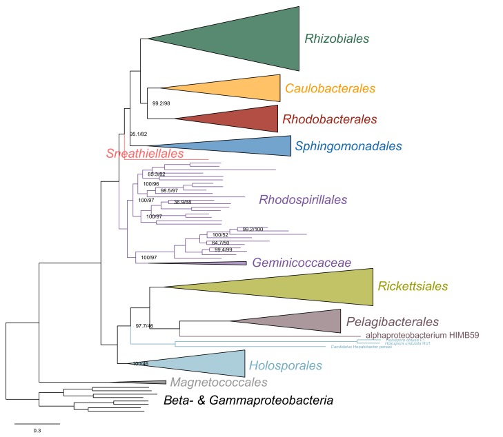 Figure 2—figure supplement 5.