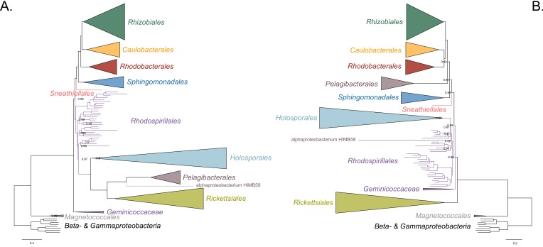 Figure 2—figure supplement 3.