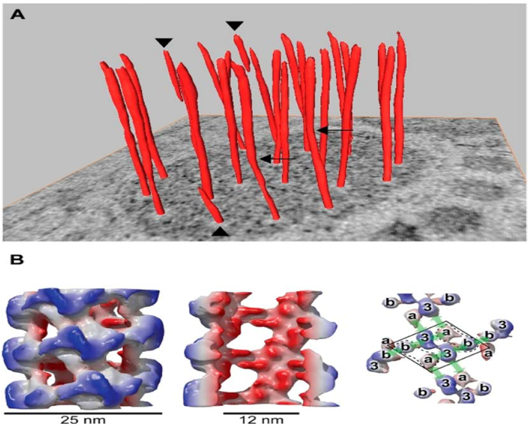 Figure 2: