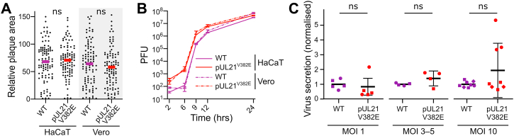 Figure 6