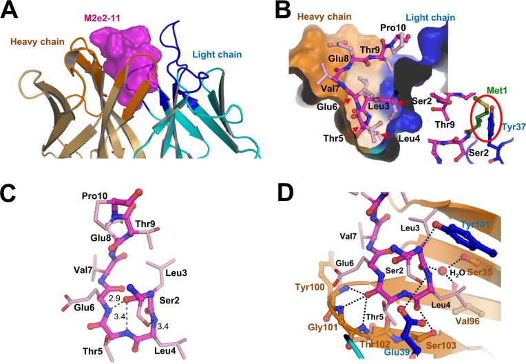 FIG 2