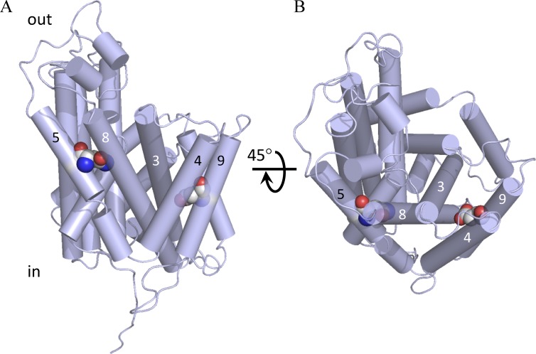 Figure 12.