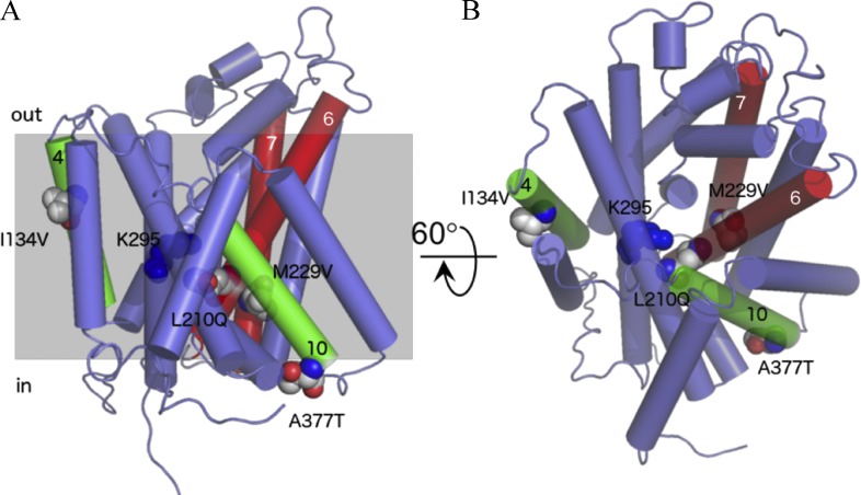 Figure 6.