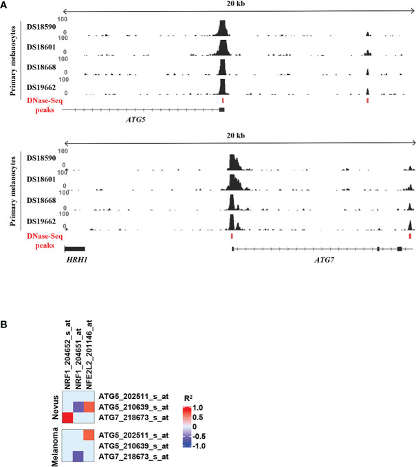 Figure 4