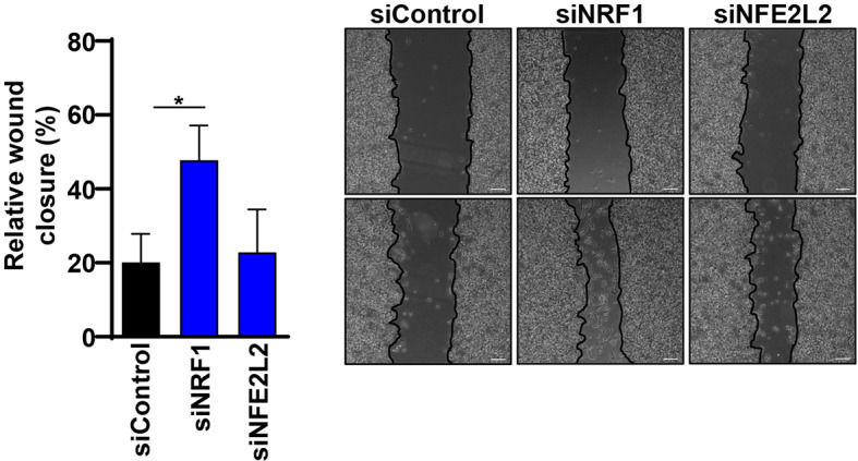 Figure 7