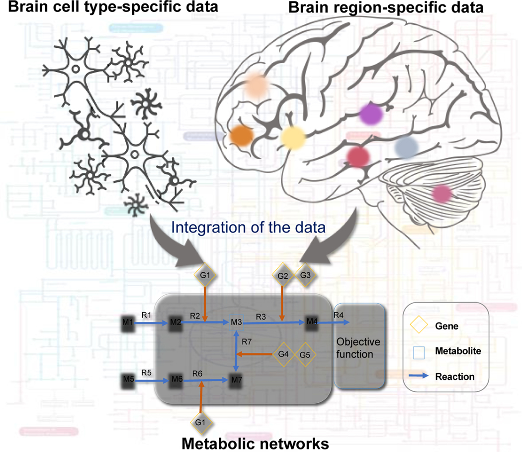 Figure 1: