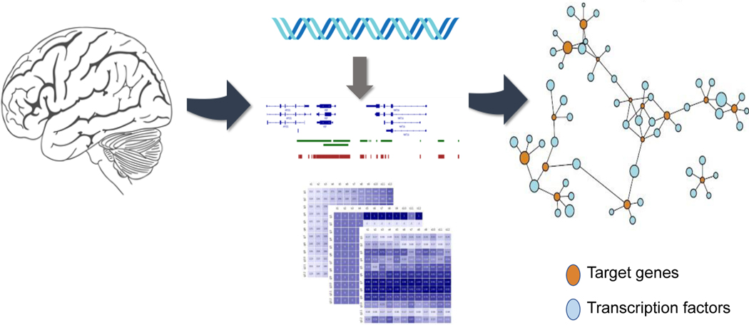 Figure 2: