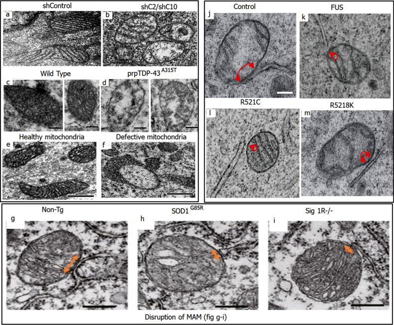 Fig. (3)