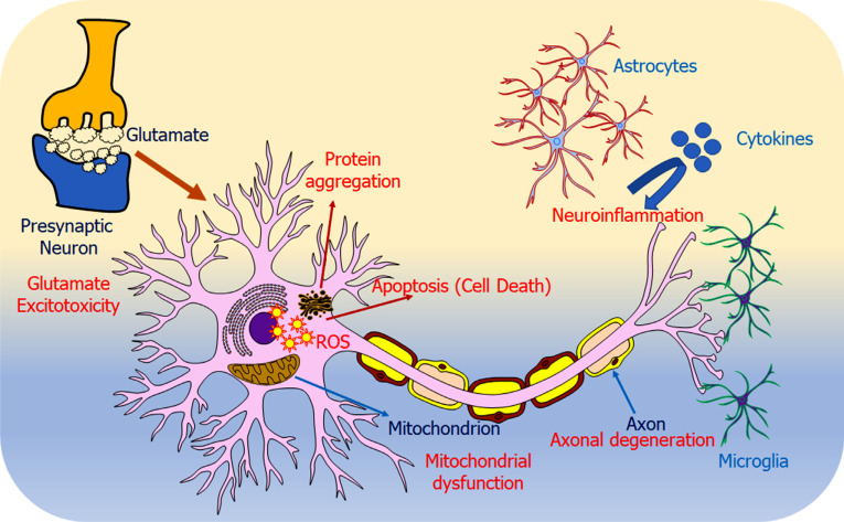 Fig. (1)