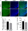 Figure 13.