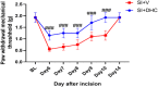 Figure 12.