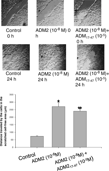 FIG. 6.