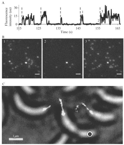 Figure 2.4