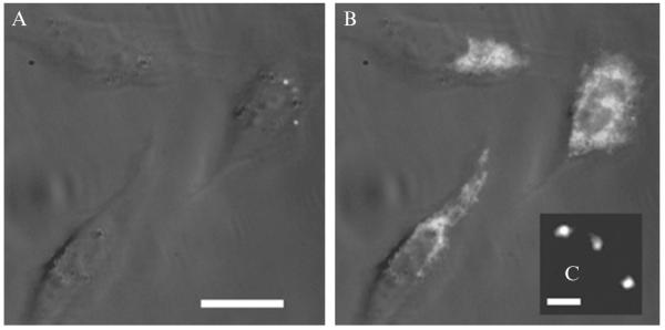 Figure 2.2