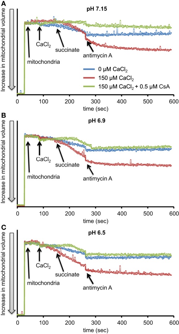 Figure 6