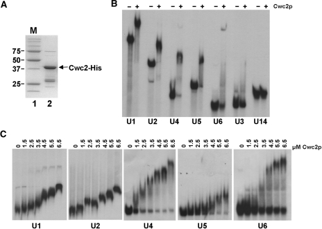 Figure 3.