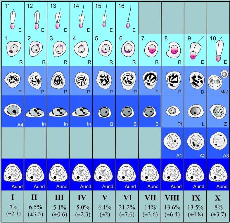 FIG. 2. 