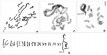 Figure 5a–d.