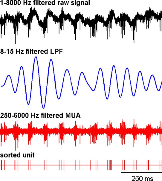 Figure 13.