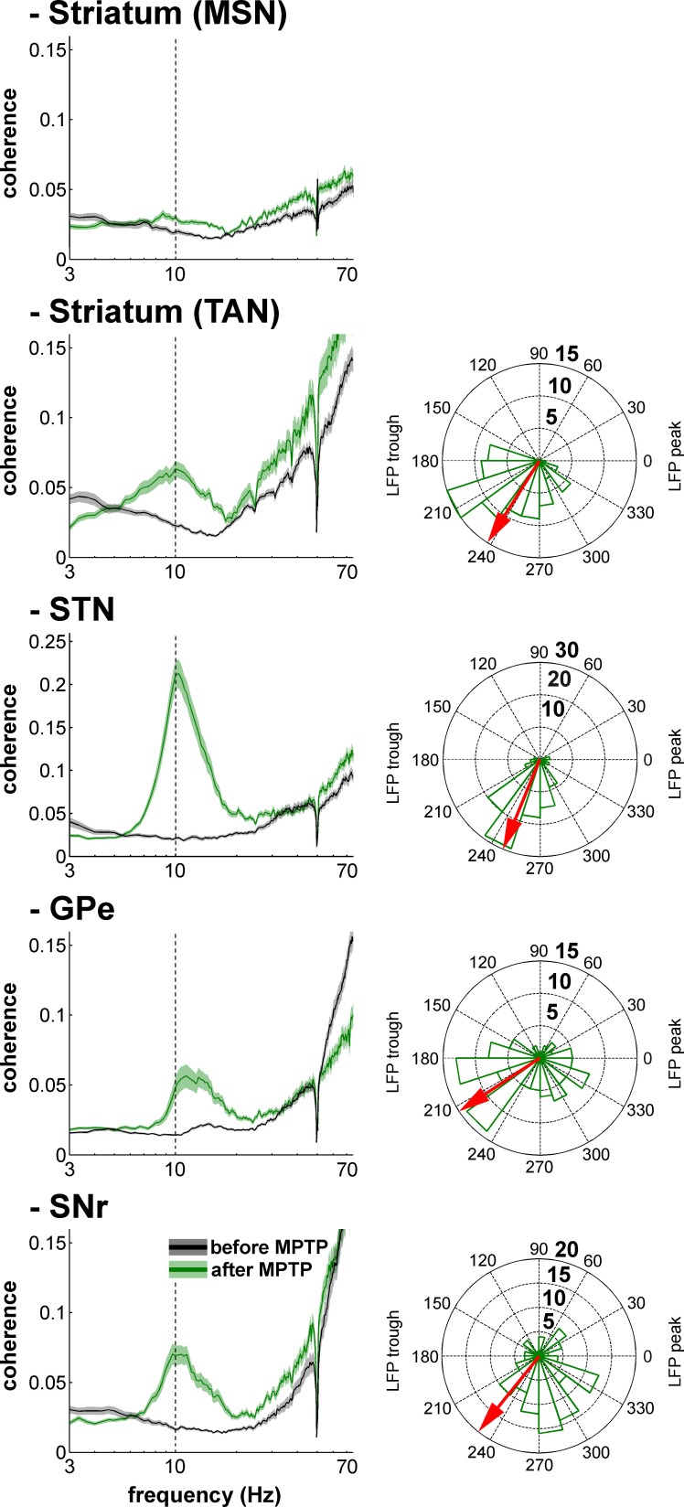 Figure 14—figure supplement 1.