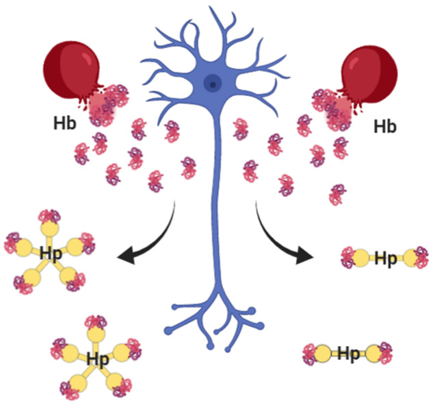 Graphical Abstract