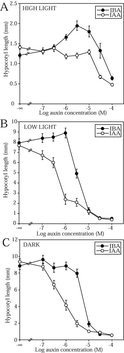 Figure 5.