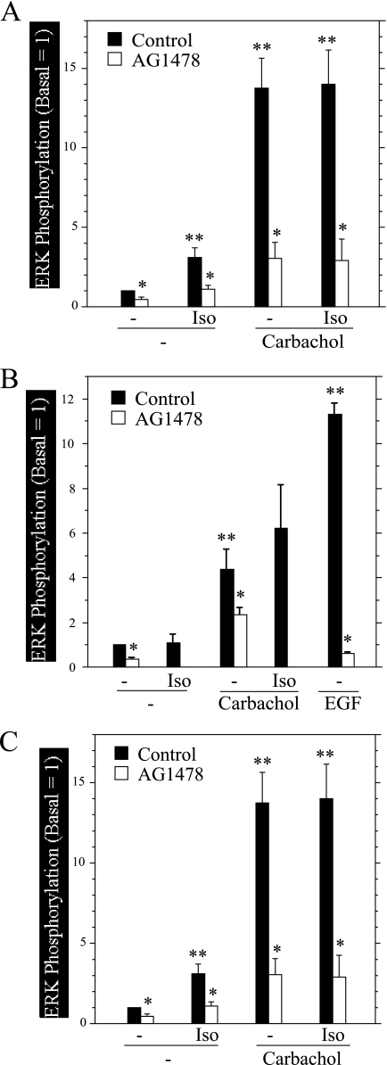 FIGURE 9.