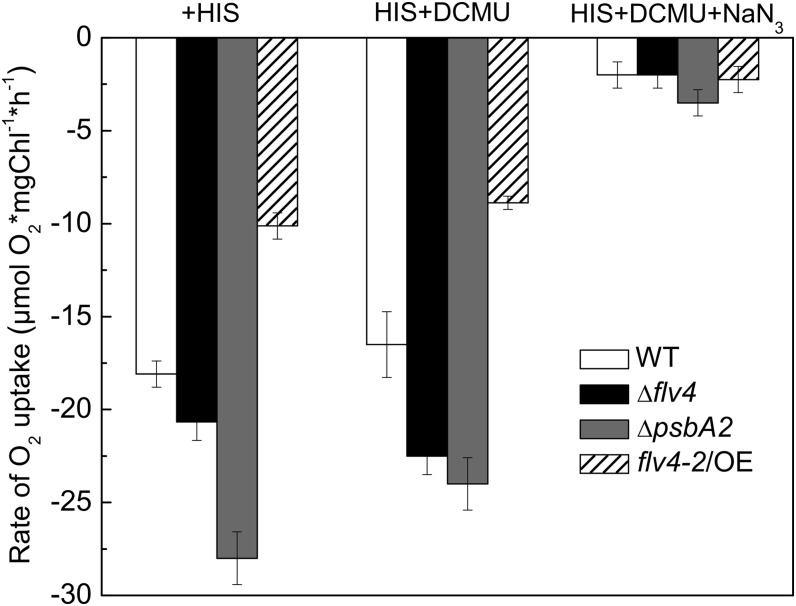 Figure 4.